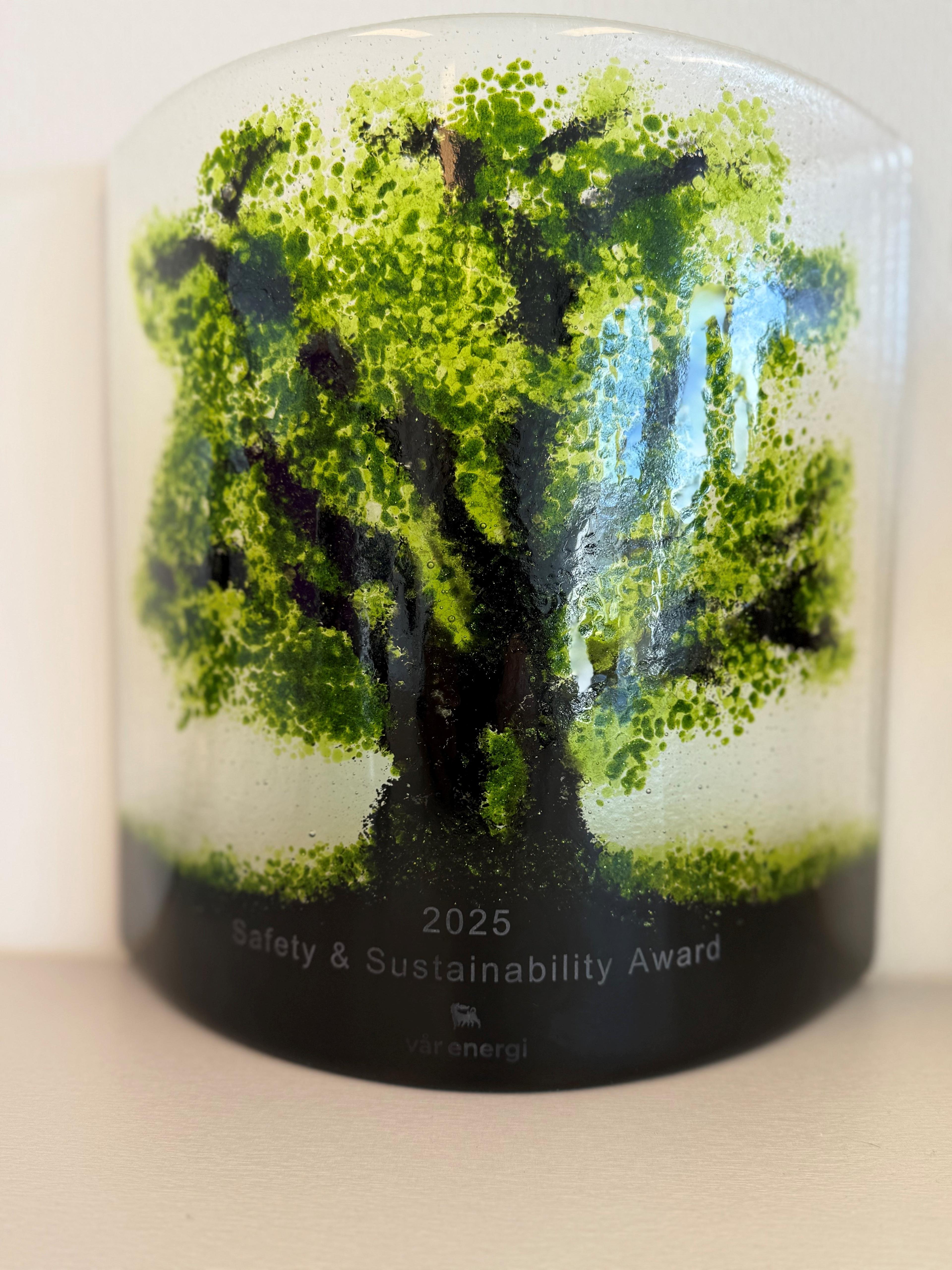 Safety &amp; Sustainability award 2025